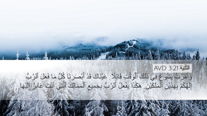اَلتَّثْنِيَة 3:21 AVD Bible Verse Image