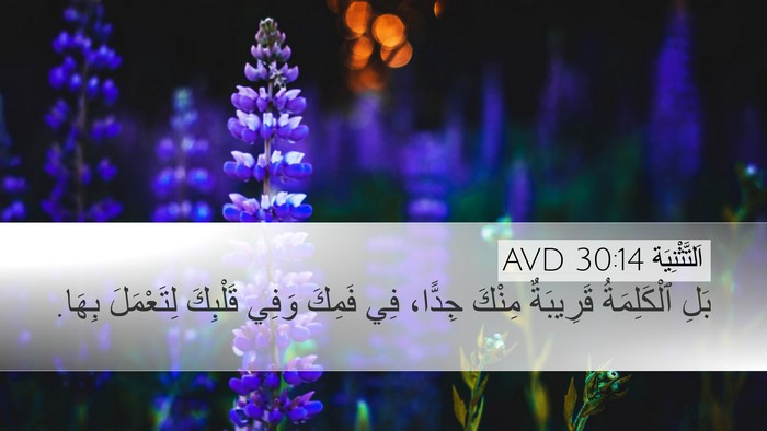 اَلتَّثْنِيَة 30:14 AVD Bible Verse Image