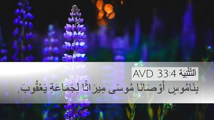 اَلتَّثْنِيَة 33:4 AVD Bible Verse Image