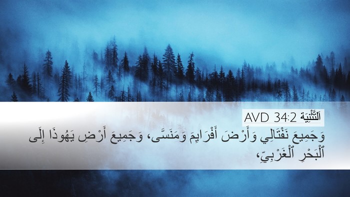 اَلتَّثْنِيَة 34:2 AVD Desktop Wallpaper - وَجَمِيعَ نَفْتَالِي - Desktop Bible Verse Wallpaper