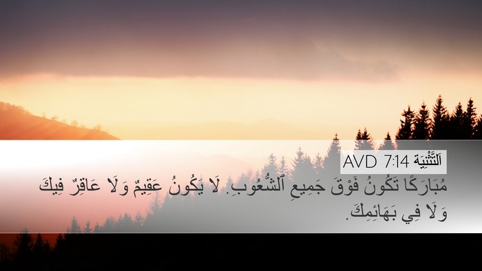 اَلتَّثْنِيَة 7:14 AVD Bible Verse Image