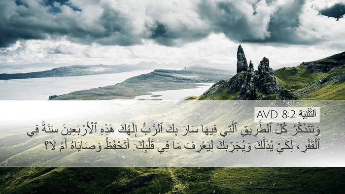 اَلتَّثْنِيَة 8:2 AVD Bible Verse Image