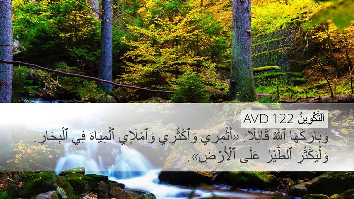 اَلتَّكْوِينُ 1:22 AVD Bible Verse Image
