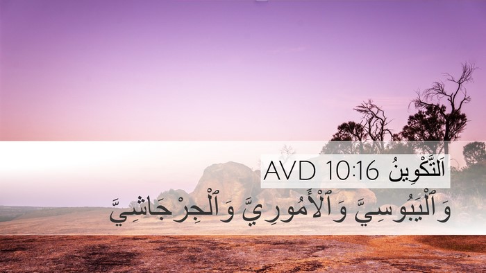 اَلتَّكْوِينُ 10:16 AVD Bible Verse Image