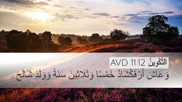 اَلتَّكْوِينُ 11:12 AVD Bible Verse Image