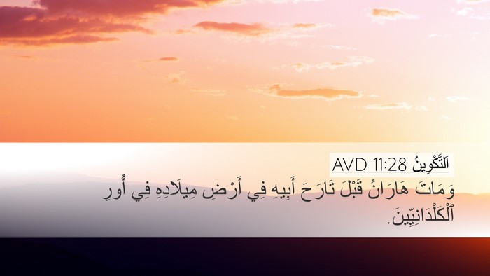 اَلتَّكْوِينُ 11:28 AVD Bible Verse Image