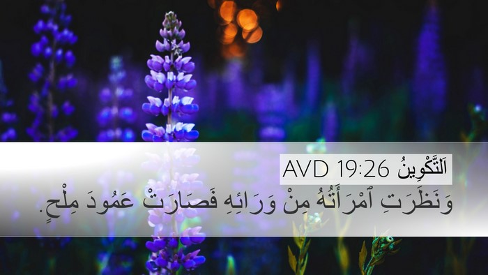 اَلتَّكْوِينُ 19:26 AVD Bible Verse Image