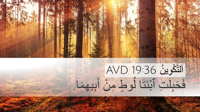 اَلتَّكْوِينُ 19:36 AVD Bible Verse Image