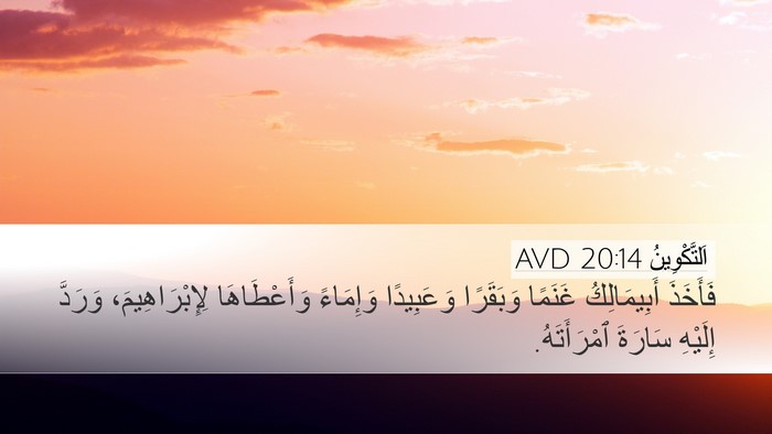 اَلتَّكْوِينُ 20:14 AVD Bible Verse Image