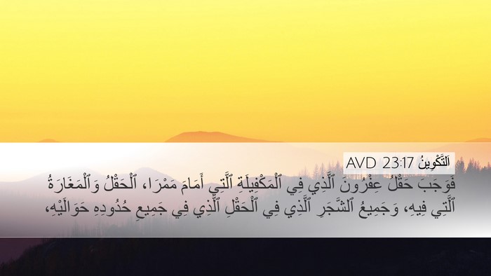 اَلتَّكْوِينُ 23:17 AVD Desktop Wallpaper - فَوَجَبَ حَقْلُ عِفْرُونَ - Desktop Bible Verse Wallpaper