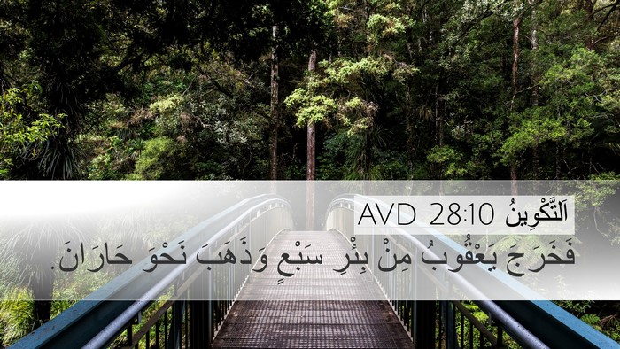 اَلتَّكْوِينُ 28:10 AVD Bible Verse Image