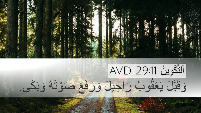 اَلتَّكْوِينُ 29:11 AVD Bible Verse Image