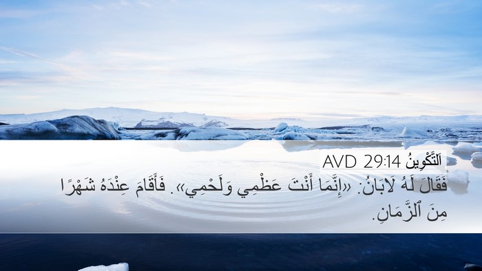 اَلتَّكْوِينُ 29:14 AVD Bible Verse Image