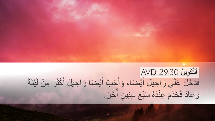 اَلتَّكْوِينُ 29:30 AVD Bible Verse Image
