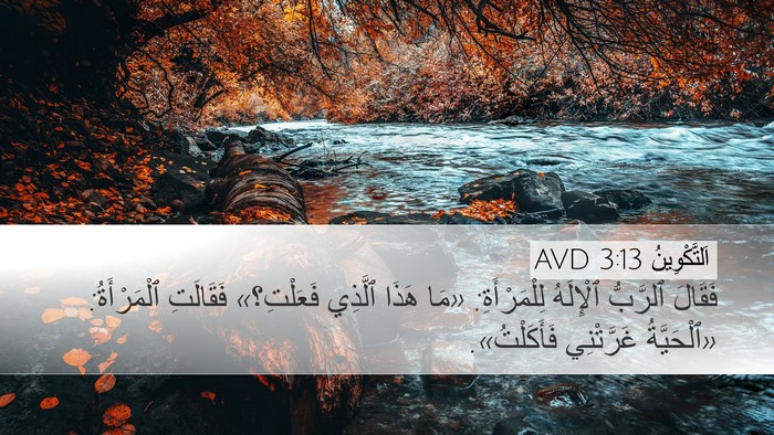 اَلتَّكْوِينُ 3:13 AVD Bible Verse Image
