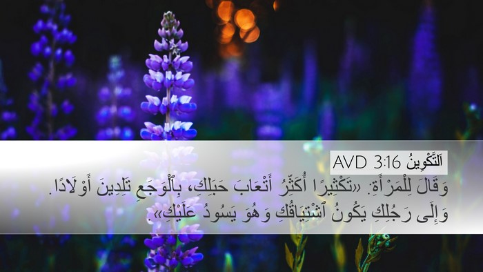 اَلتَّكْوِينُ 3:16 AVD Bible Verse Image