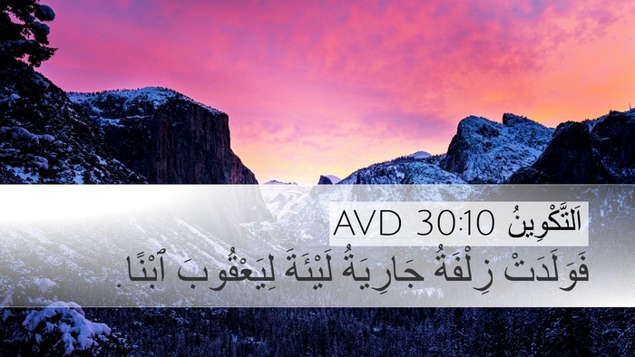 اَلتَّكْوِينُ 30:10 AVD Bible Verse Image