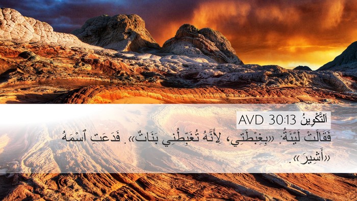 اَلتَّكْوِينُ 30:13 AVD Bible Verse Image