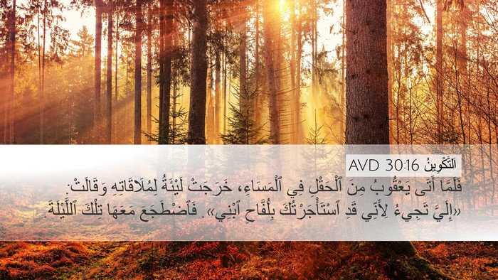 اَلتَّكْوِينُ 30:16 AVD Desktop Wallpaper - فَلَمَّا أَتَى يَعْقُوبُ - Desktop Bible Verse Wallpaper