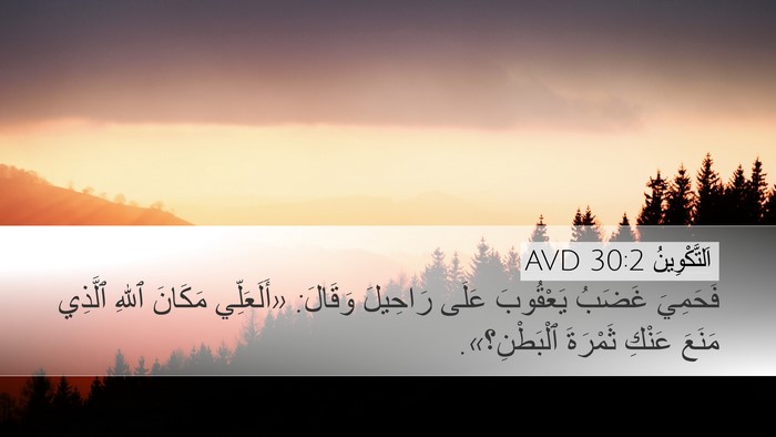اَلتَّكْوِينُ 30:2 AVD Bible Verse Image