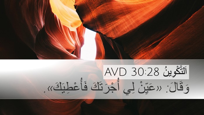 اَلتَّكْوِينُ 30:28 AVD Desktop Wallpaper - وَقَالَ: «عَيِّنْ لِي - Desktop Bible Verse Wallpaper