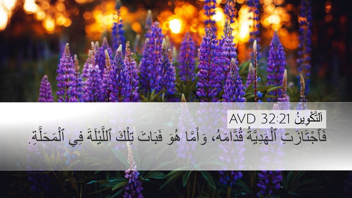 اَلتَّكْوِينُ 32:21 AVD Bible Verse Image