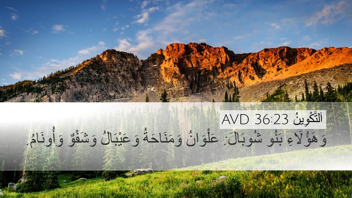 اَلتَّكْوِينُ 36:23 AVD Bible Verse Image