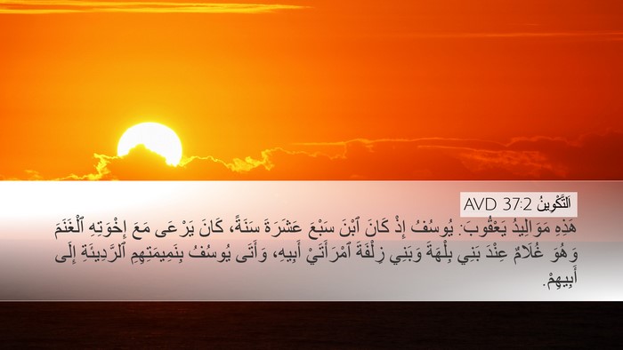 اَلتَّكْوِينُ 37:2 AVD Bible Verse Image