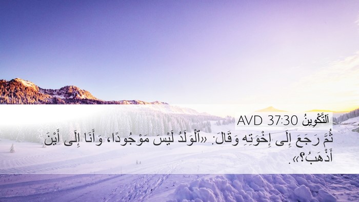 اَلتَّكْوِينُ 37:30 AVD Bible Verse Image