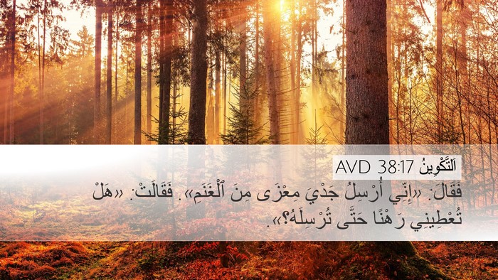 اَلتَّكْوِينُ 38:17 AVD Bible Verse Image