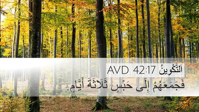 اَلتَّكْوِينُ 42:17 AVD Bible Verse Image