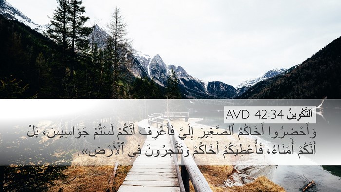 اَلتَّكْوِينُ 42:34 AVD Bible Verse Image