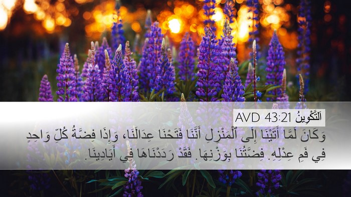 اَلتَّكْوِينُ 43:21 AVD Bible Verse Image