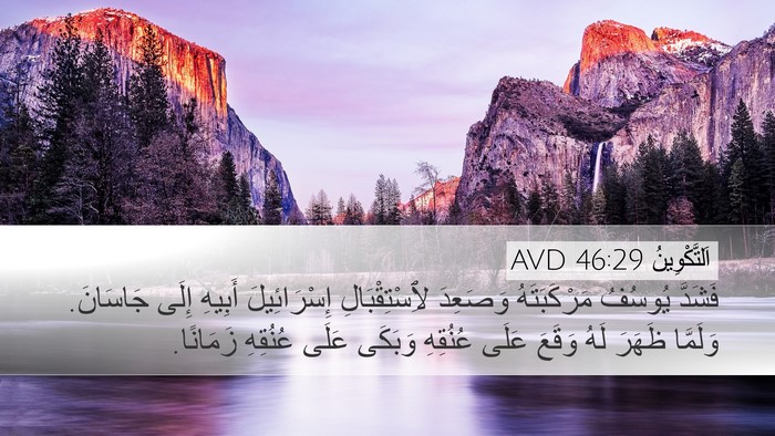 اَلتَّكْوِينُ 46:29 AVD Bible Verse Image