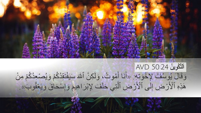 اَلتَّكْوِينُ 50:24 AVD Bible Verse Image