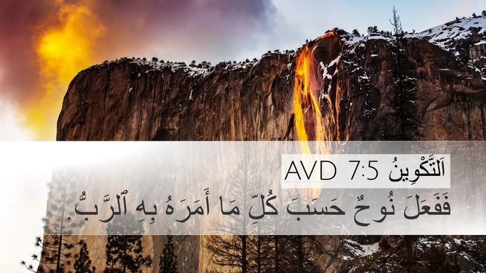 اَلتَّكْوِينُ 7:5 AVD Desktop Wallpaper - فَفَعَلَ نُوحٌ حَسَبَ - Desktop Bible Verse Wallpaper