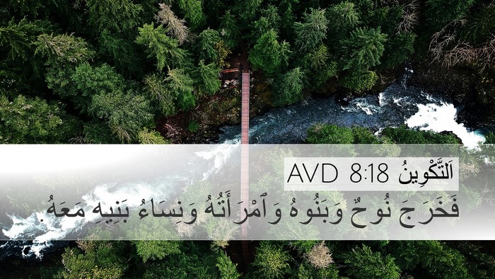 اَلتَّكْوِينُ 8:18 AVD Bible Verse Image