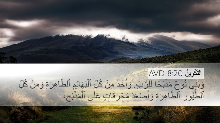 اَلتَّكْوِينُ 8:20 AVD Bible Verse Image