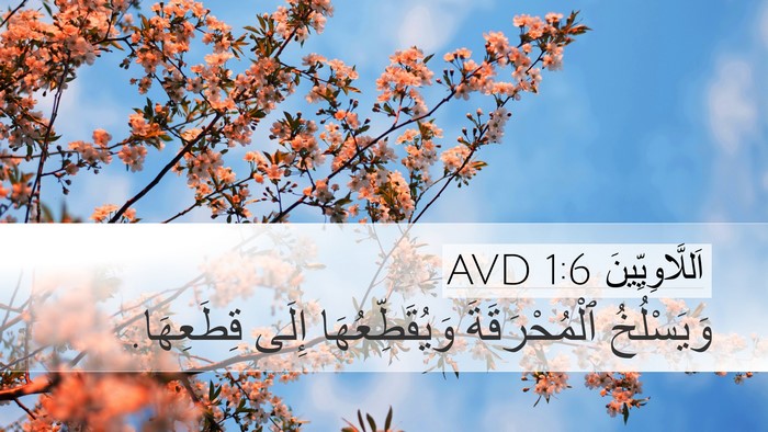 اَللَّاوِيِّينَ 1:6 AVD Bible Verse Image