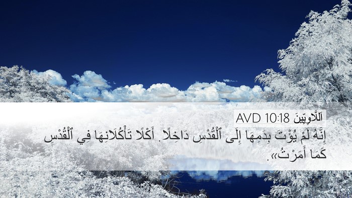 اَللَّاوِيِّينَ 10:18 AVD Desktop Wallpaper - إِنَّهُ لَمْ يُؤْتَ - Desktop Bible Verse Wallpaper