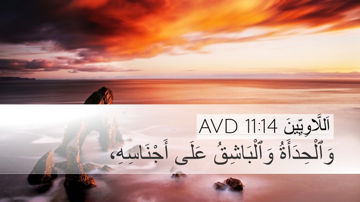اَللَّاوِيِّينَ 11:14 AVD Desktop Wallpaper - وَٱلْحِدَأَةُ - Desktop Bible Verse Wallpaper
