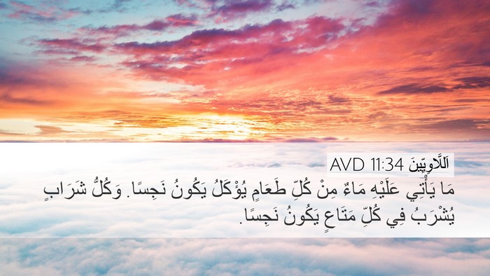 اَللَّاوِيِّينَ 11:34 AVD Desktop Wallpaper - مَا يَأْتِي عَلَيْهِ مَاءٌ - Desktop Bible Verse Wallpaper