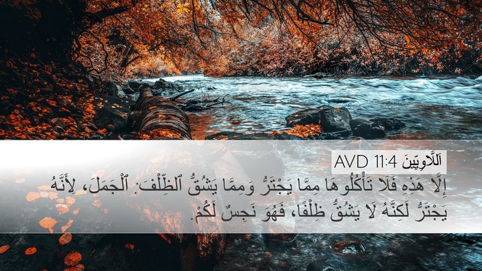 اَللَّاوِيِّينَ 11:4 AVD Desktop Wallpaper - إِلَّا هَذِهِ فَلَا - Desktop Bible Verse Wallpaper