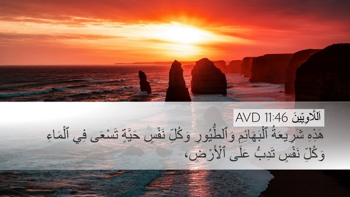 اَللَّاوِيِّينَ 11:46 AVD Bible Verse Image