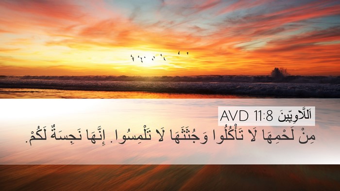 اَللَّاوِيِّينَ 11:8 AVD Desktop Wallpaper - مِنْ لَحْمِهَا لَا - Desktop Bible Verse Wallpaper