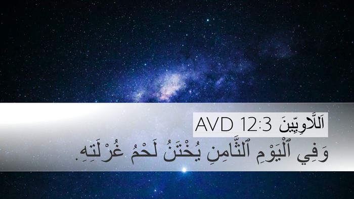 اَللَّاوِيِّينَ 12:3 AVD Bible Verse Image
