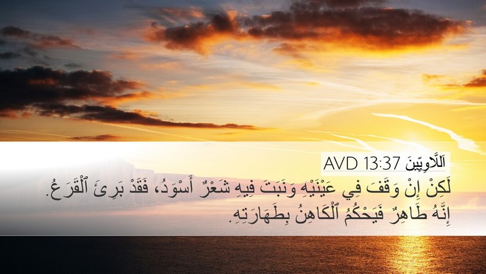اَللَّاوِيِّينَ 13:37 AVD Desktop Wallpaper - لَكِنْ إِنْ وَقَفَ فِي - Desktop Bible Verse Wallpaper