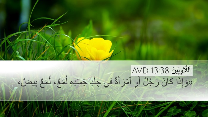 اَللَّاوِيِّينَ 13:38 AVD Desktop Wallpaper - «وَإِذَا كَانَ رَجُلٌ أَوِ - Desktop Bible Verse Wallpaper