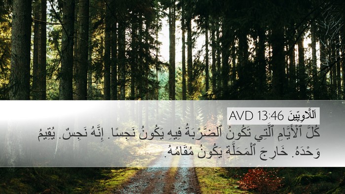 اَللَّاوِيِّينَ 13:46 AVD Bible Verse Image