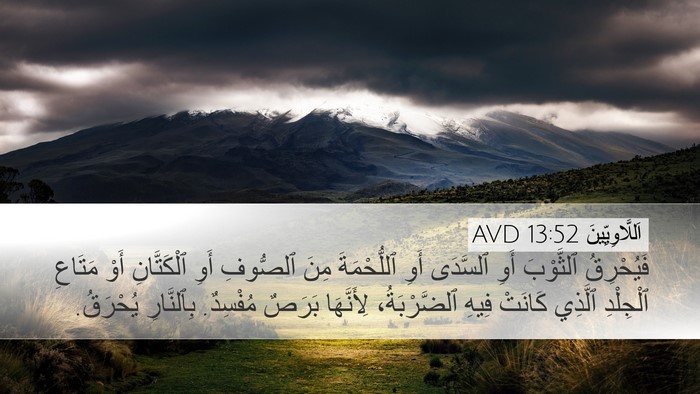 اَللَّاوِيِّينَ 13:52 AVD Desktop Wallpaper - فَيُحْرِقُ ٱلثَّوْبَ أَوِ - Desktop Bible Verse Wallpaper